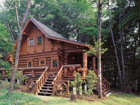 The Small Log Cabin . . . Simply Serene!