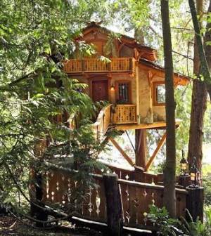 Standout Treehouse Design . . . Out On A Limb!